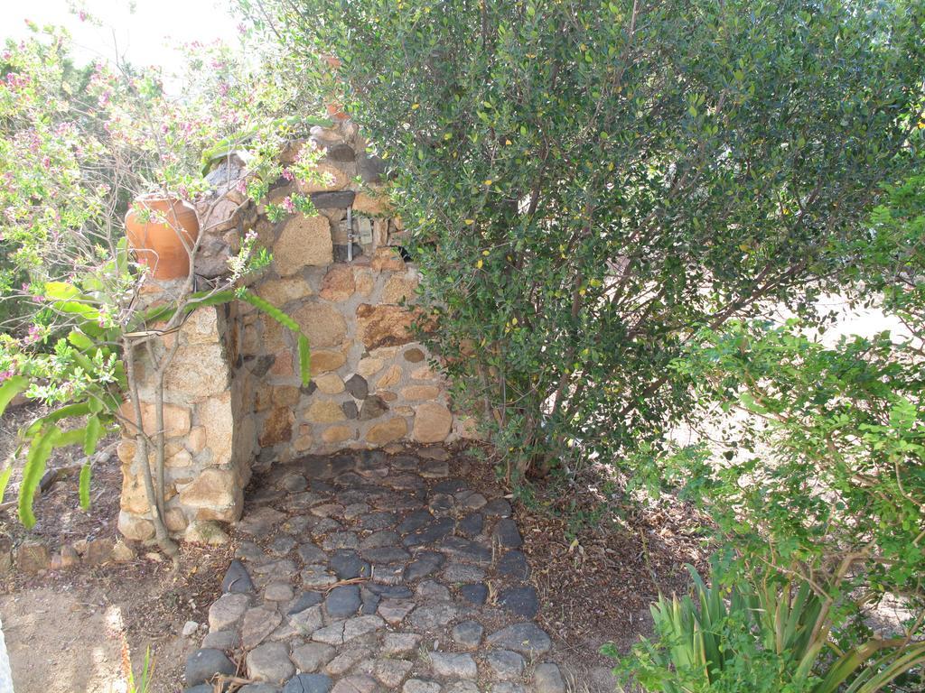 Chia Aloe & Cactus Villa Exterior foto