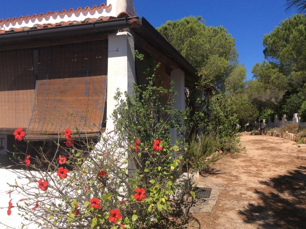Chia Aloe & Cactus Villa Exterior foto